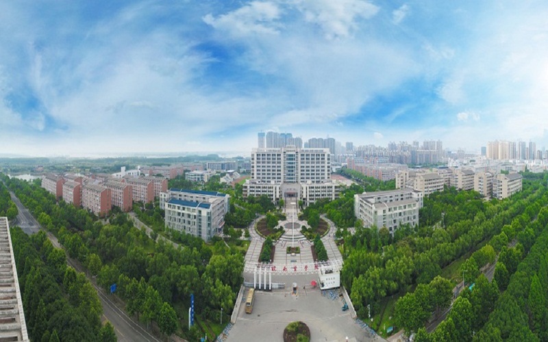 2023年皖南医学院在浙江招生专业及招生人数汇总