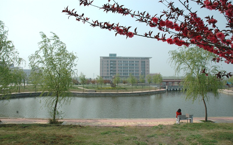 2023年宿州学院在湖南招生专业及招生人数汇总