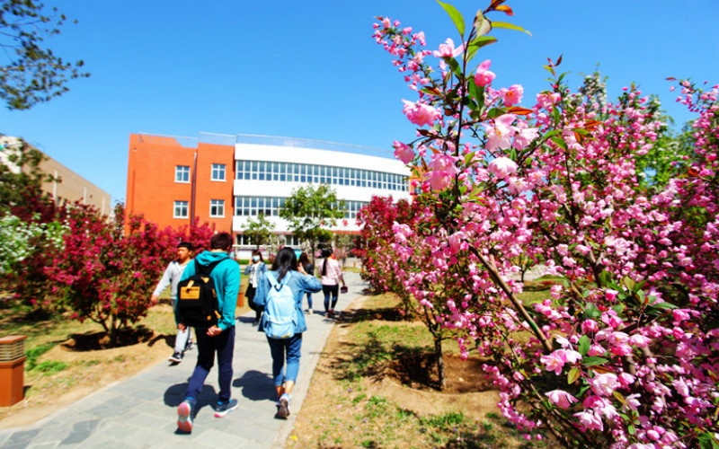 北京农业职业学院国际经济与贸易（国际关务管理）专业在河北招生录取分数(物理类)：423分