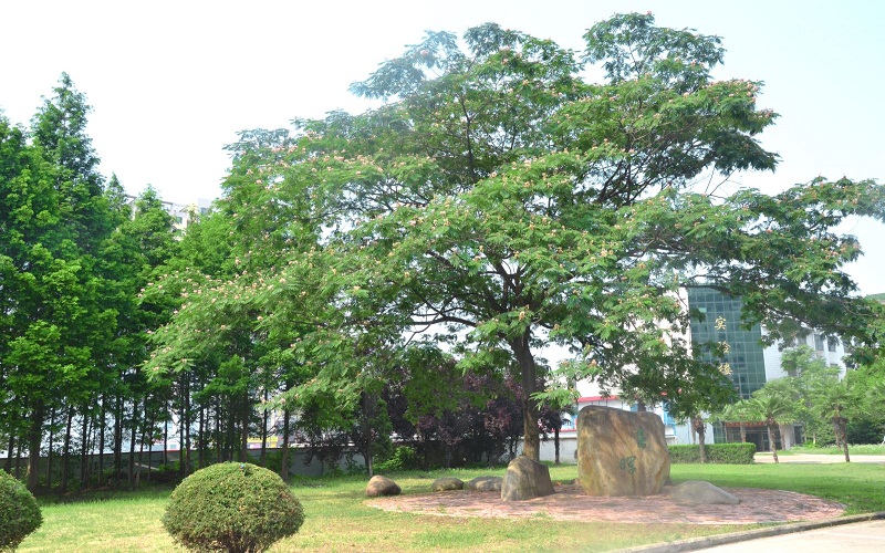 多少分可以上安徽交通职业技术学院？安徽交通职业技术学院2022年在江西各招生专业录取分数汇总