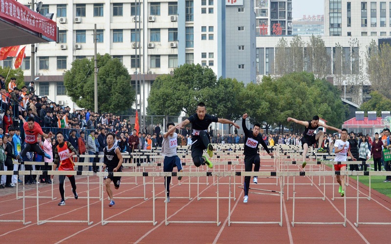 2024年河北高考历史类多少分能上安徽交通职业技术学院？【各专业分数参考汇总】