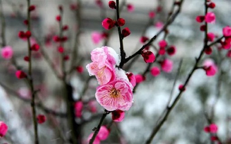 多少分可以上安徽审计职业学院？安徽审计职业学院2022年在江西各招生专业录取分数汇总