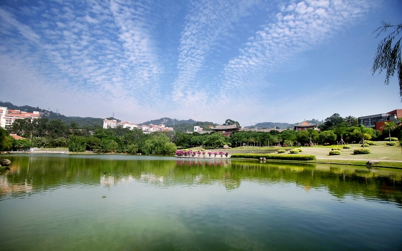 2023年厦门大学在山东招生专业及招生人数汇总