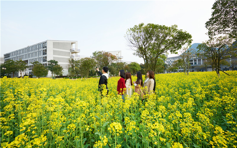 桂林信息科技学院国际商务专业录取分数线【广西高考理科】