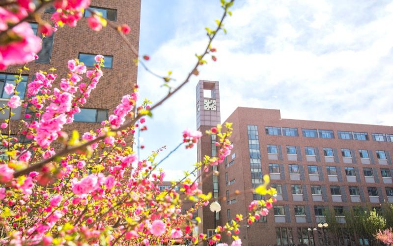 辽宁历史类考生排多少名可以上天津商业大学酒店管理（中外合作办学）（三）专业?