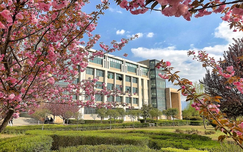 2023年西安石油大学在广东招生专业及招生人数汇总(2024考生参考)