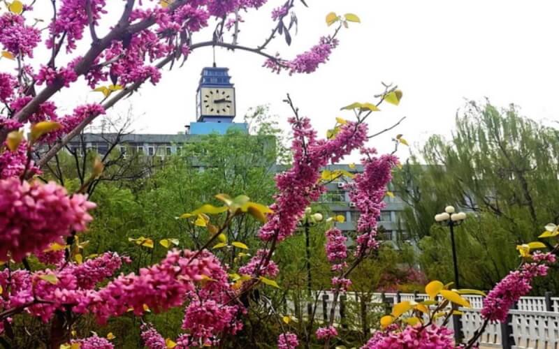2023年山东考生多少分可以上济南大学物理学（师范兼非师范类，济南走读）专业？