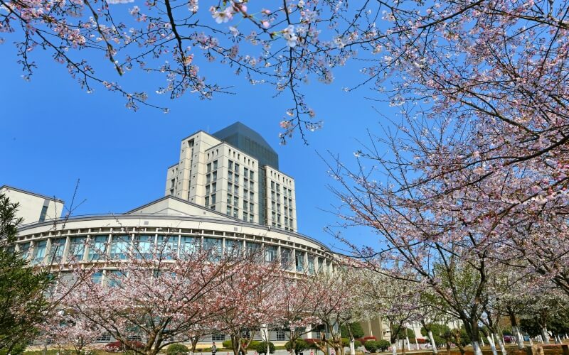 山东综合考生排多少名可以上江南大学生物工程专业?