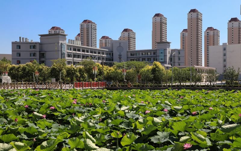 2023年河北考生多少分可以上天津农学院植物保护专业？