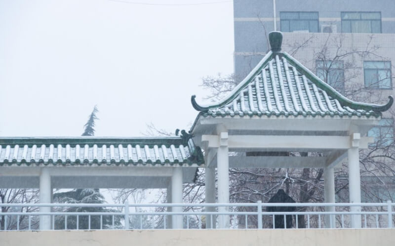 2024考生参考：2023山东政法学院社区矫正专业在辽宁招生录取分数及录取位次