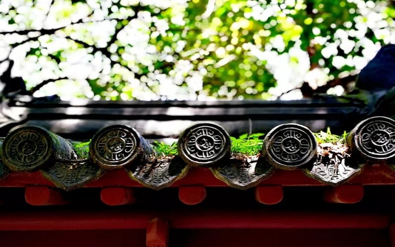 南京大学理科试验班类专业在浙江招生录取分数(综合)：677分