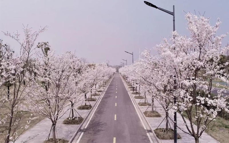 【2023高考参考】泰州职业技术学院2022年广西招生专业及招生计划一览表