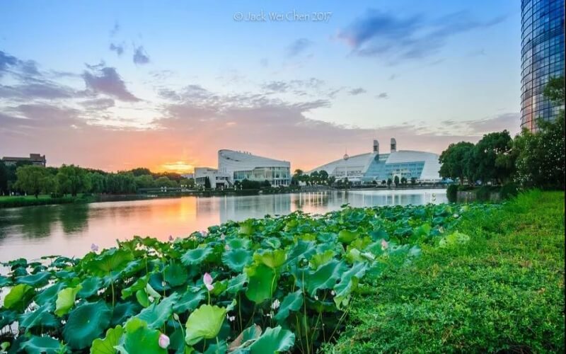 2023年内蒙古考生多少分可以上浙江大学社会科学试验班专业？