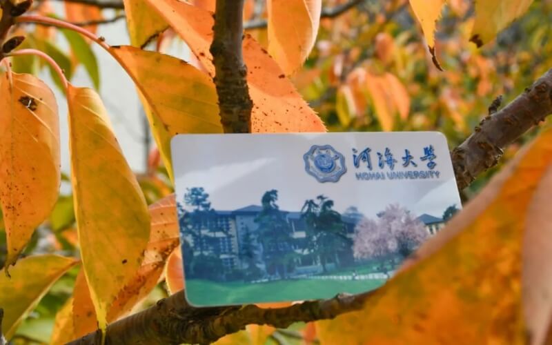 河海大学自动化专业录取分数线【天津高考综合】