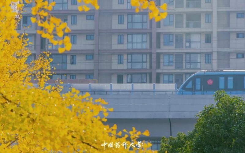 2023年中国药科大学在广东招生专业及招生人数汇总