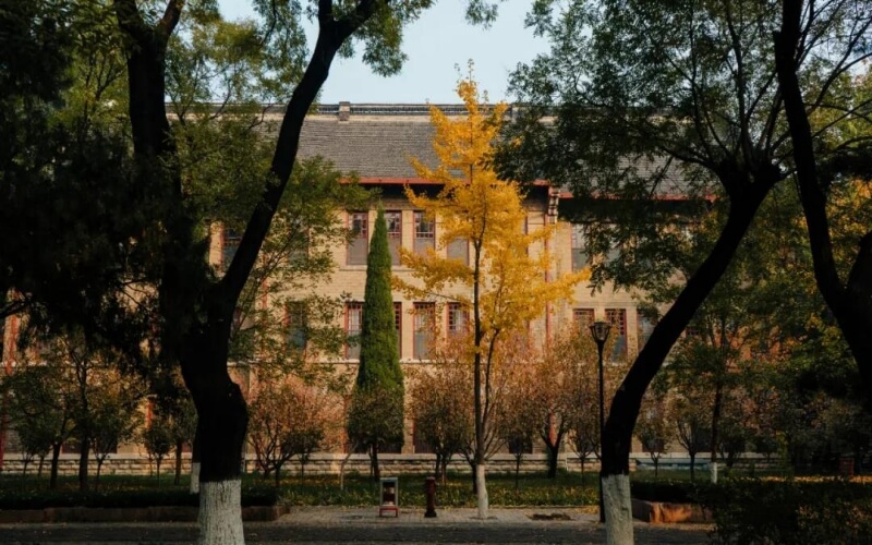 2023年内蒙古考生多少分可以上山东大学少数民族预科班（经济学类）专业？