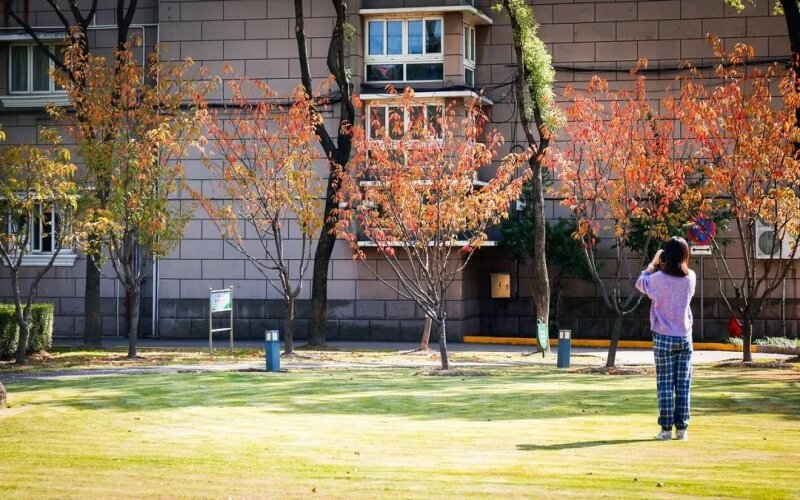 2022年上海财经大学在福建招生专业及招生人数汇总（2023考生参考）