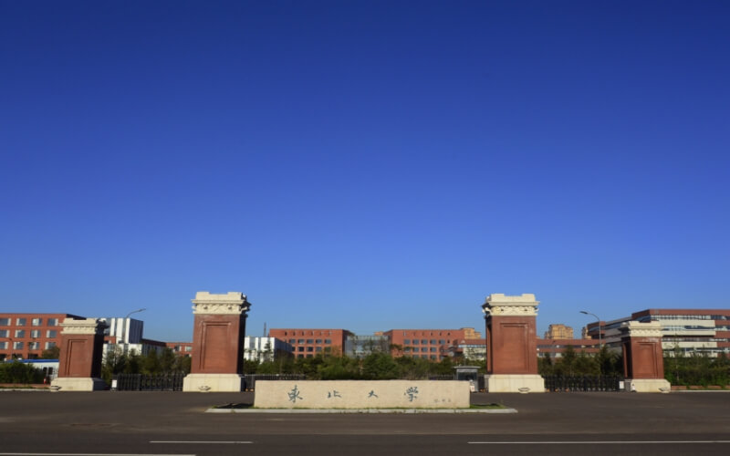 山东综合考生排多少名可以上东北大学人文科学试验班专业?