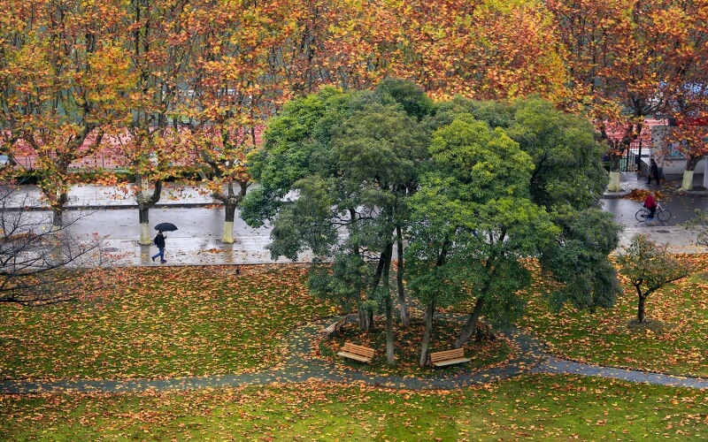 江苏科技大学旅游管理专业在浙江招生录取分数(综合)：584分