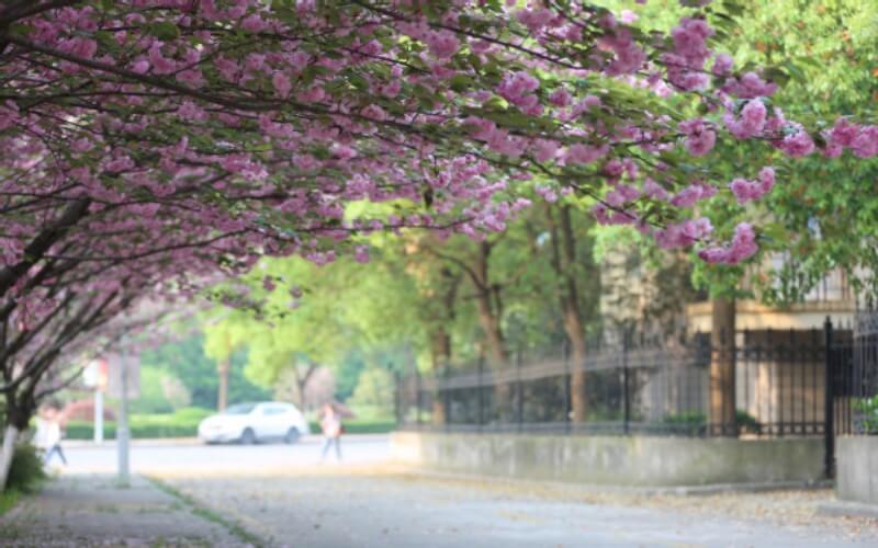 南京中医药大学护理学专业录取分数线【广西高考理科】