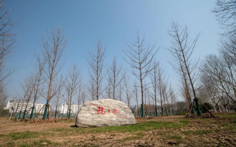 南京信息工程大学应用化学专业录取分数线【云南高考理科】