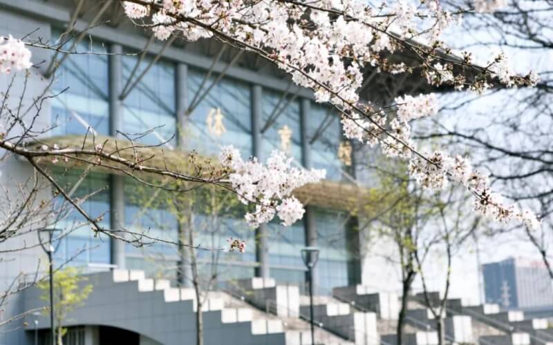 南京信息工程大学行政管理专业录取分数线【云南高考文科】