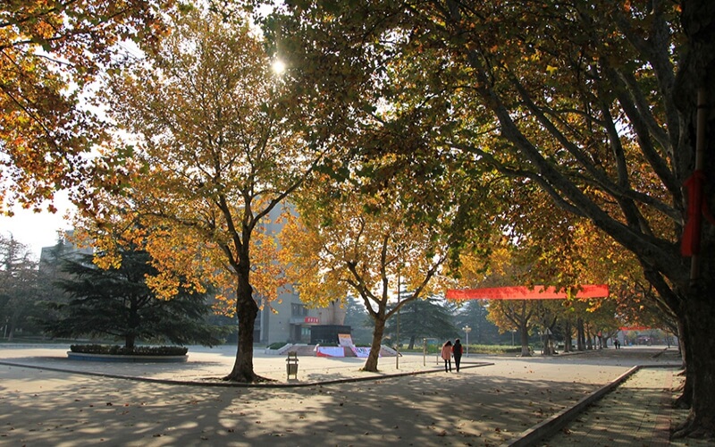 2023年江苏师范大学在河南录取批次及录取分数参考
