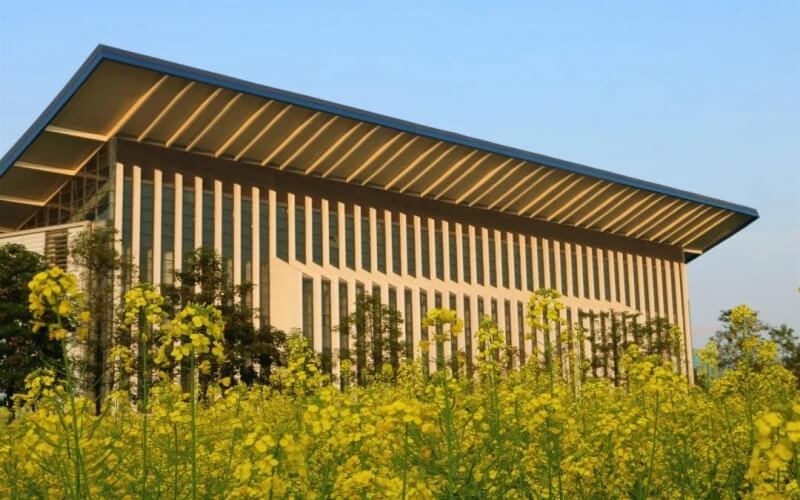 重庆理工大学药学类专业录取分数线【重庆高考物理类】