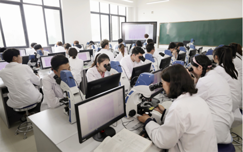 2023年眉山药科职业学院在广东招生专业及招生人数汇总
