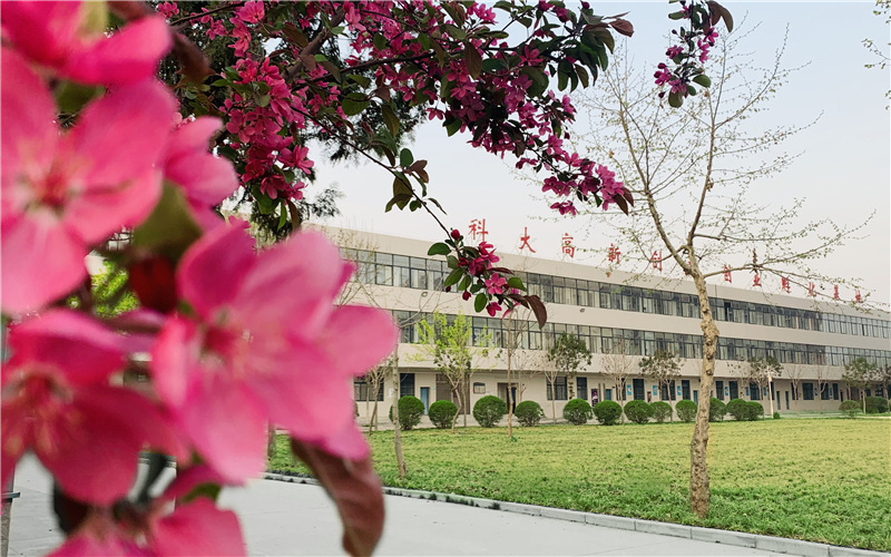【2023高考参考】西安科技大学高新学院2022年宁夏招生专业及招生计划一览表