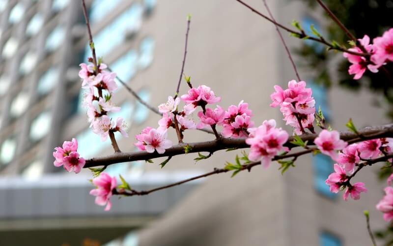 2023年浙江工业大学在安徽录取批次及录取分数参考