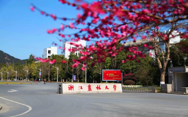 2023年浙江农林大学在青海录取批次及录取分数参考