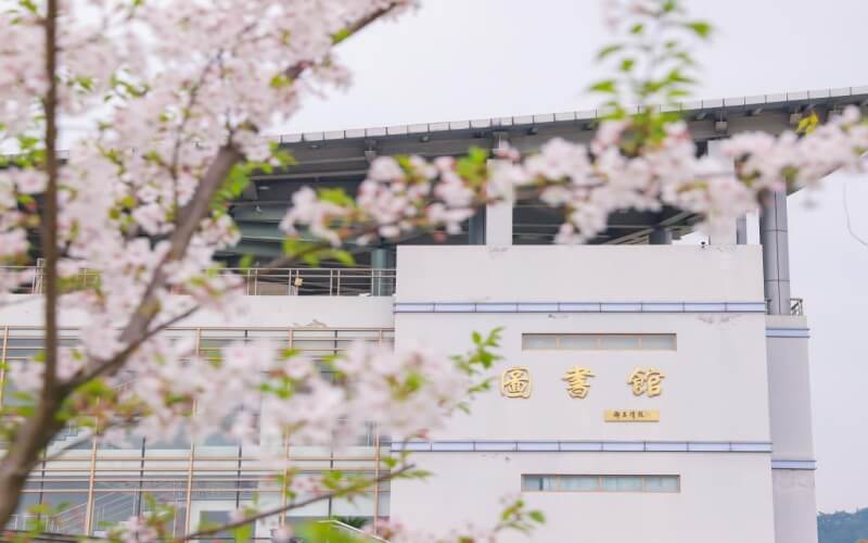 2023年浙江农林大学在内蒙古招生专业及招生人数汇总