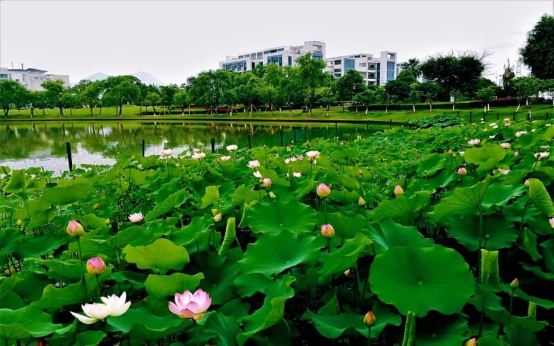 2023年温州大学在重庆录取批次及录取分数参考