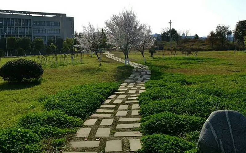 南充职业技术学院在云南各专业录取分数一览表(含2021-2020历年)