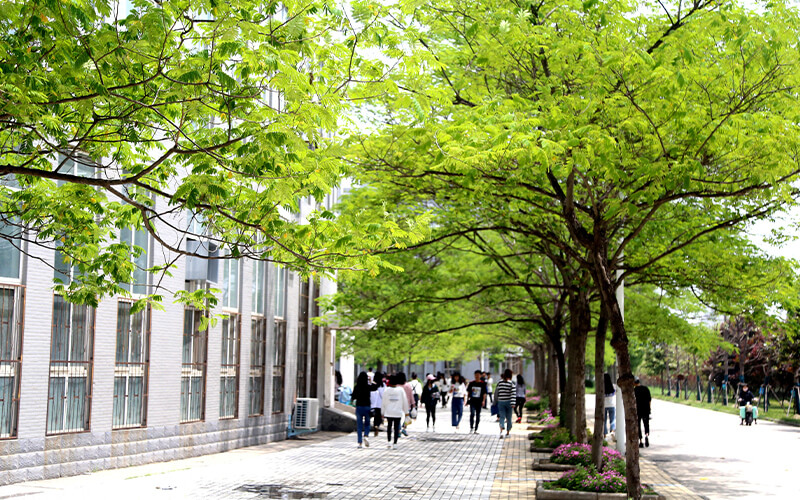 2023年内蒙古考生多少分可以上周口职业技术学院小学语文教育（师范类）专业？