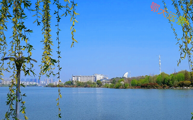 多少分可以上鄂州职业大学？鄂州职业大学2022年在广东各招生专业录取分数汇总