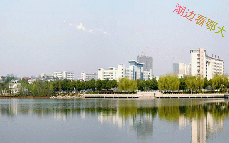 鄂州职业大学在黑龙江各专业录取分数一览表(含2021-2020历年)