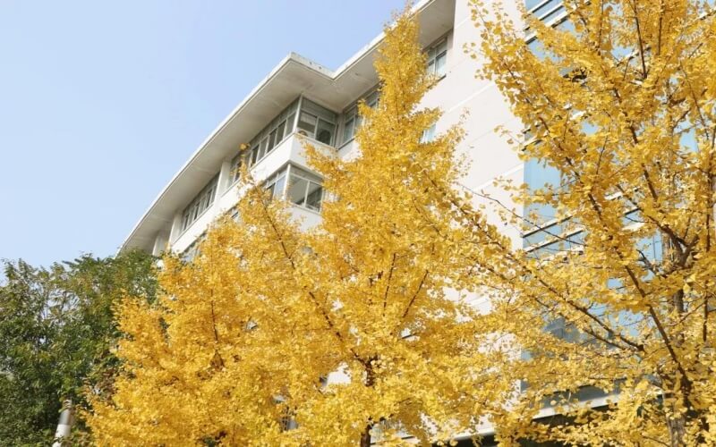 山东综合考生排多少名可以上中南林业科技大学金融学类专业?