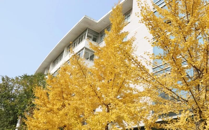 2024考生参考：2023中南林业科技大学供应链管理专业在重庆招生录取分数及录取位次