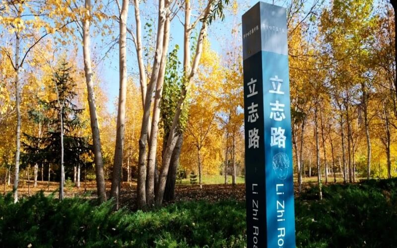 2023年齐齐哈尔医学院在云南招生专业有哪些？学费是多少？