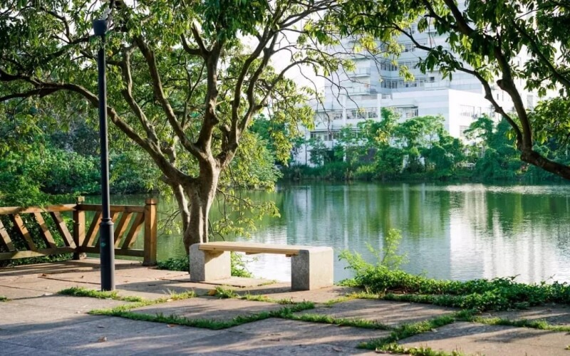 2024年福建农林大学农林经济管理专业在山东录取分数线参考