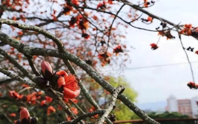 闽南师范大学经济统计学专业录取分数线【四川高考理科】