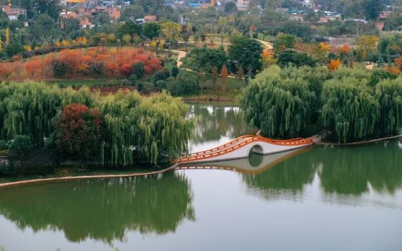 山东综合考生排多少名可以上洛阳师范学院历史学（师范类）专业?