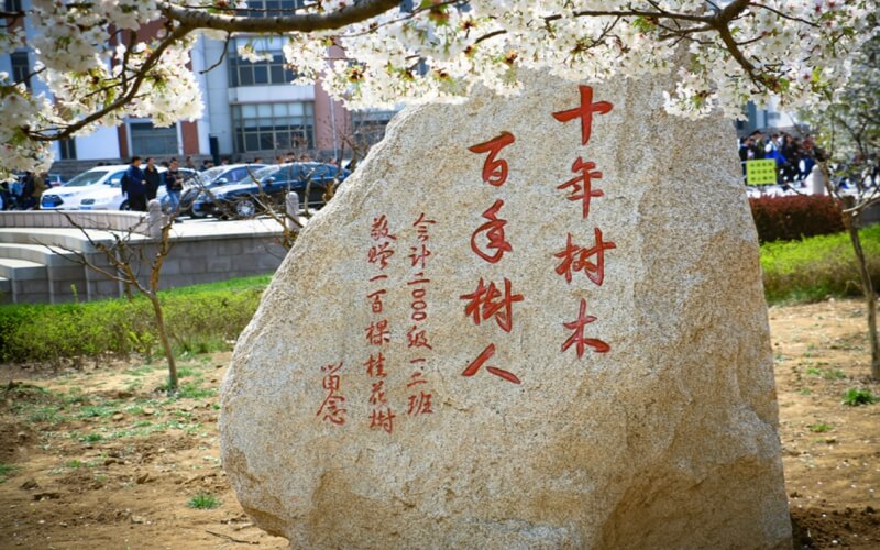 山东综合考生排多少名可以上青岛农业大学汉语言文学专业?