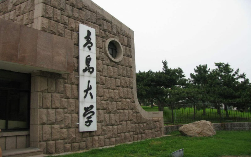 青岛大学汉语言文学（地方专项计划）专业在山东招生录取分数(综合)：569分