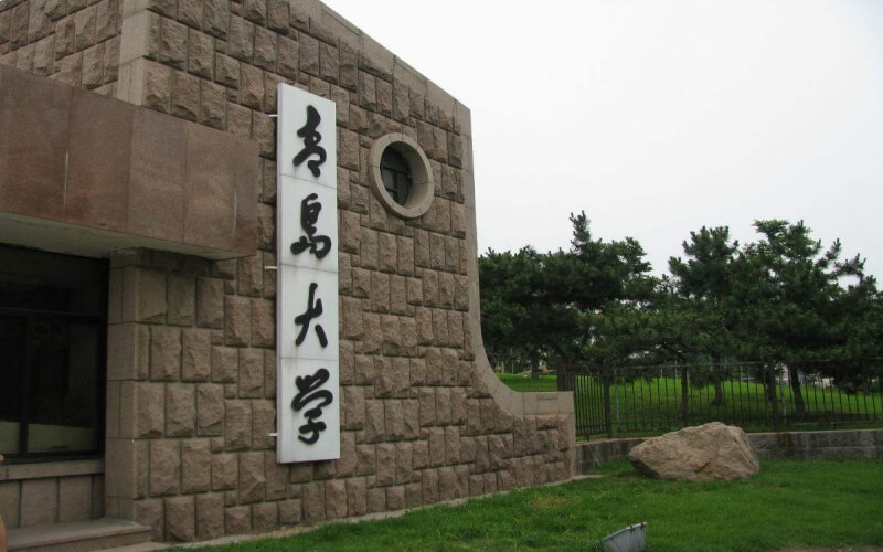 2024年青岛大学信息安全专业在山东录取分数线参考