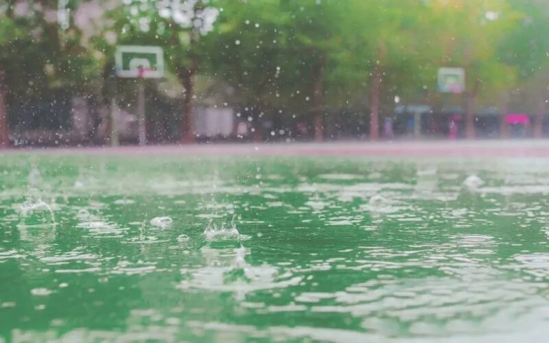 山东综合考生排多少名可以上曲阜师范大学学前教育（师范类）专业?