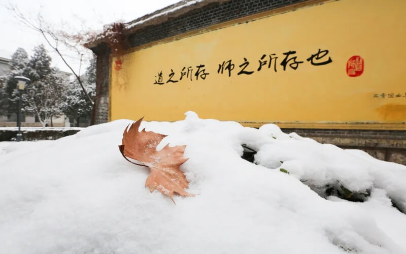 曲阜师范大学土地资源管理（地方专项计划）专业在山东招生录取分数(综合)：525分