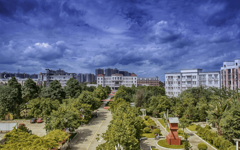 2023年四川电影电视学院在山东招生专业有哪些？学费是多少？